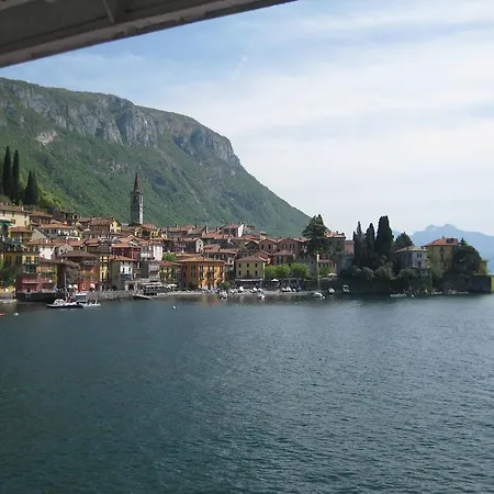 Mimosa 1